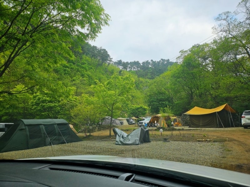 안성 반딧불캠핑장 후기