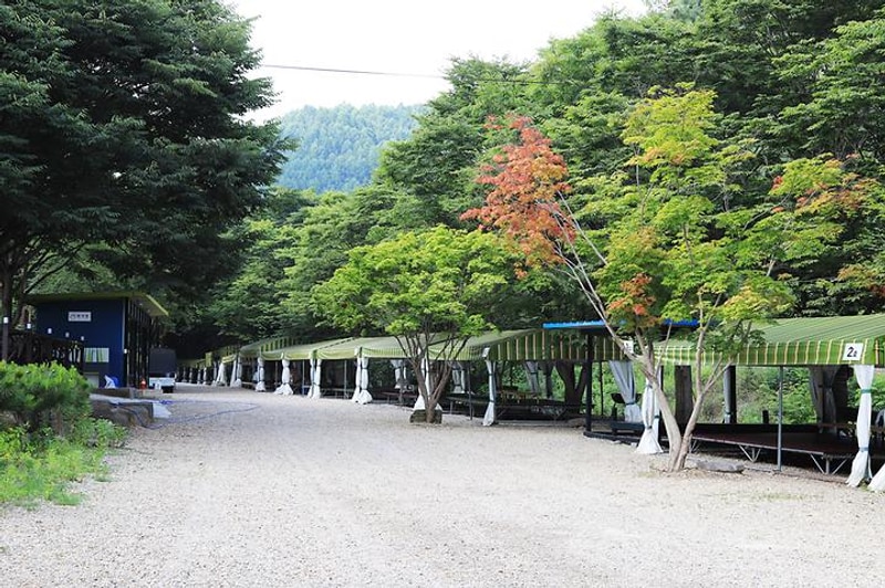 예그리나숲 대표 사진