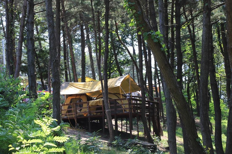 트리캠핑장 시설 사진 6