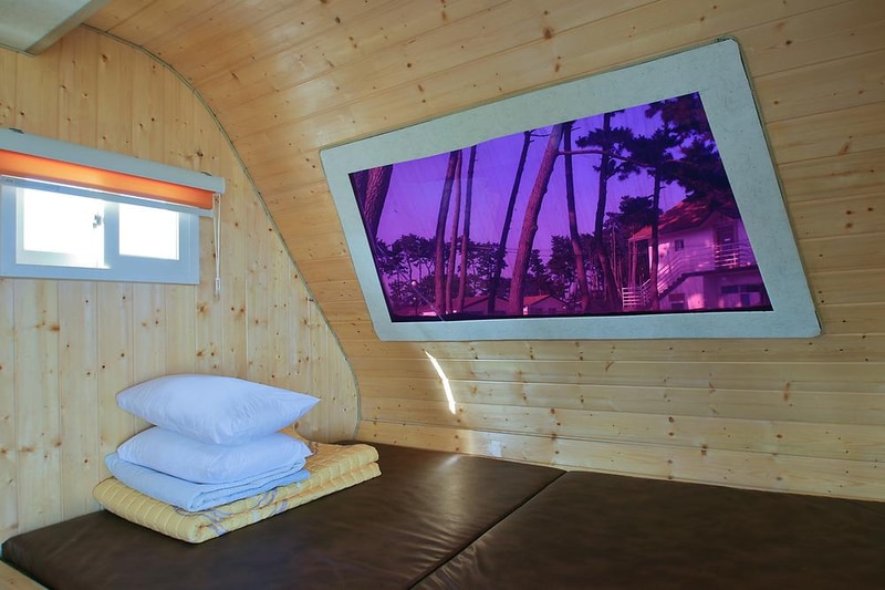 블루오션리조트, 오션파크 시설 사진 3