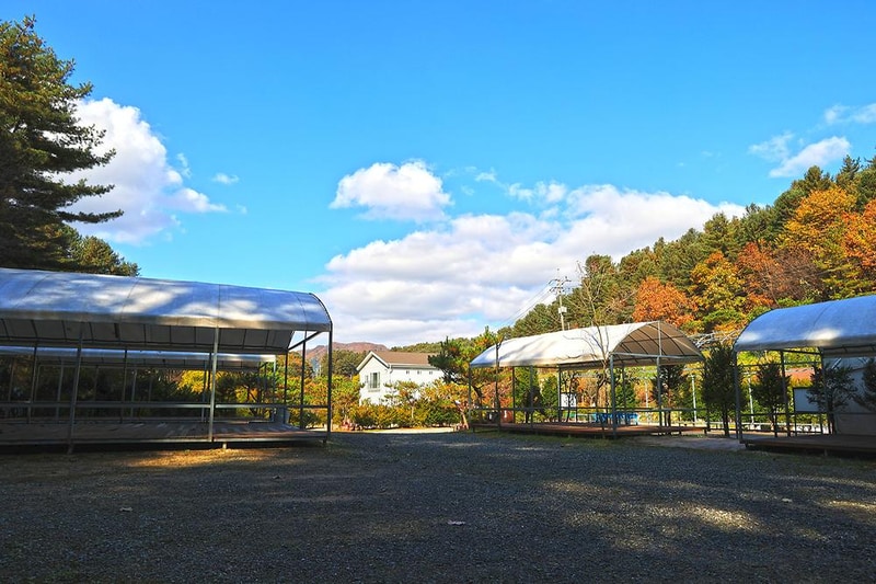 포천 땡큐247 캠핑장 시설 사진 3