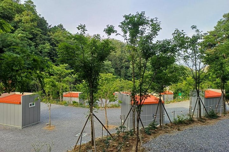 몽상핀 대표 사진