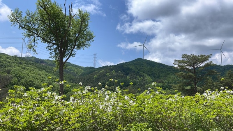 캠핑일기(마루지캠프, 연자방아막국수)