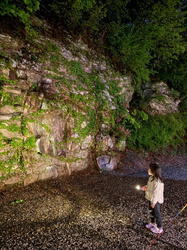 포천 산정호수 돌고래캠핑장 동굴존 주말 우중캠핑