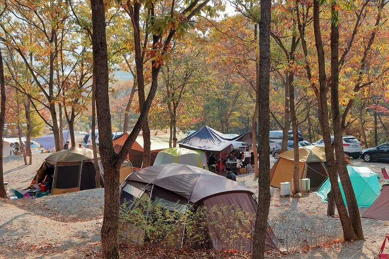 낭만에코파크 시설 사진 4