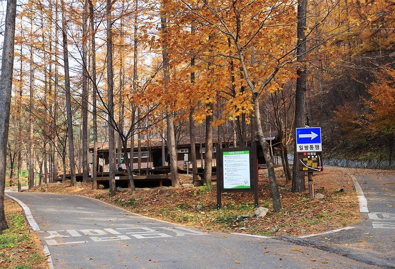 국립용화산자연휴양림 시설 사진 3