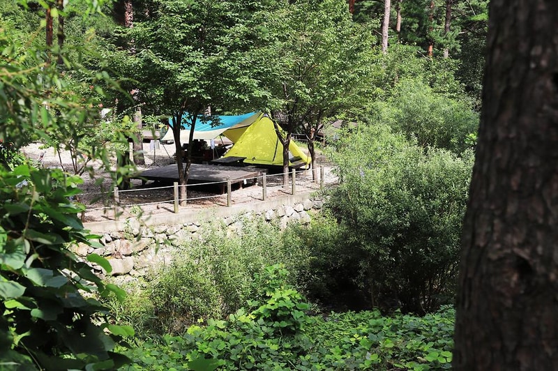 국립검봉산자연휴양림야영장 시설 사진 14