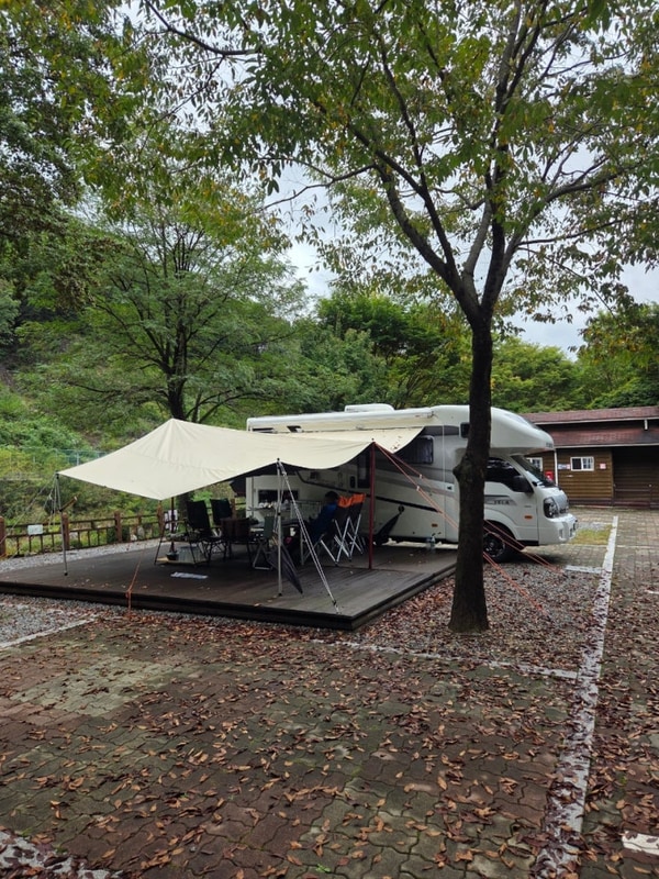 충북 단양 소선암 오토캠핑장 후기 | 부대시설 등 계곡 앞...