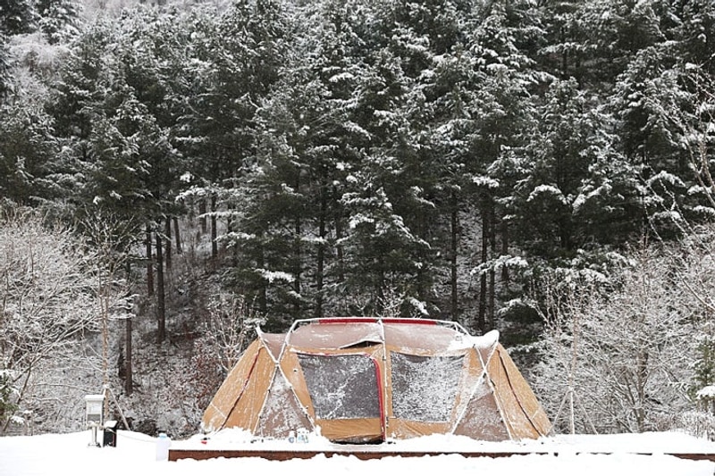 459. 갯골자연휴양림 야영장 [ 2025. 10. 17 ~ 10. 19 ]