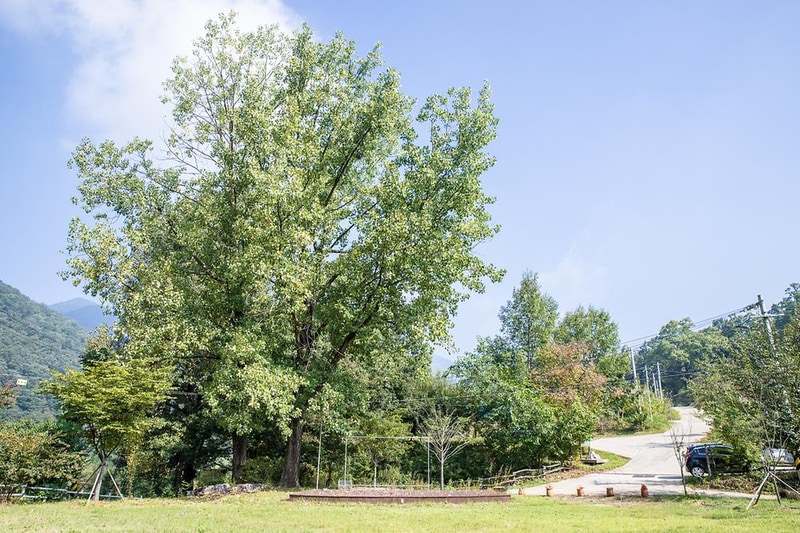 깃대 캠핑장 시설 사진 16