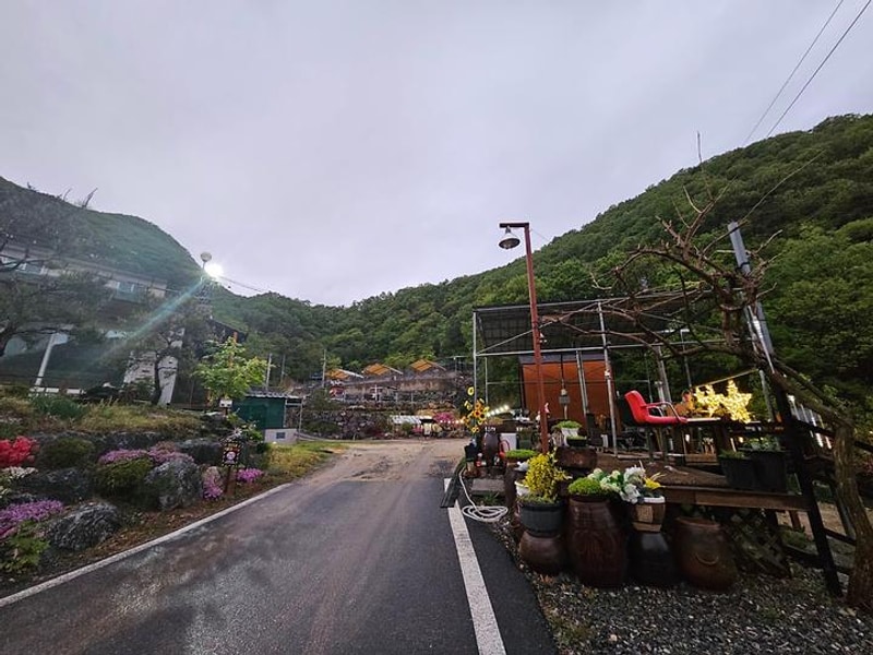 단양 별마루캠핑장 대표 사진