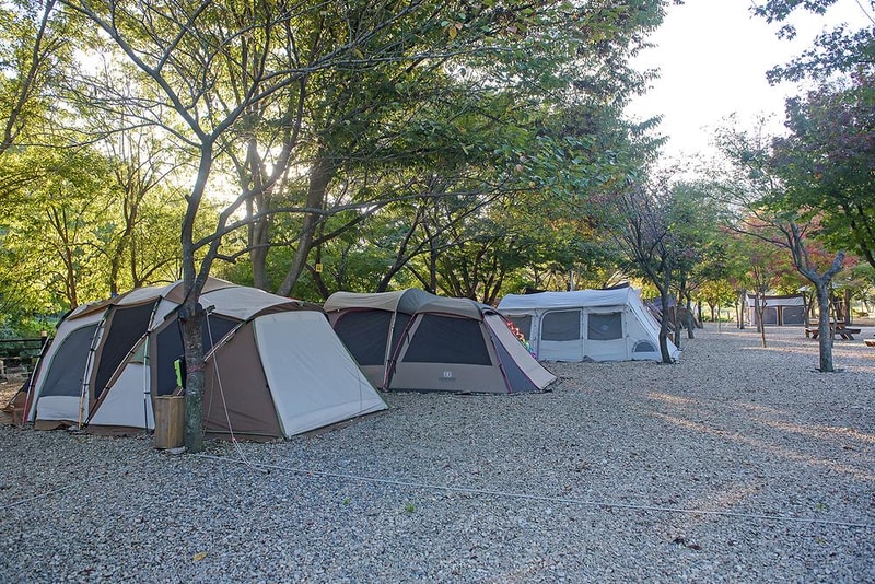 가족소풍캠핑장 시설 사진 9