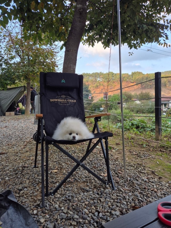 청주 근방 괴산 캠핑장::승암159 캠핑장