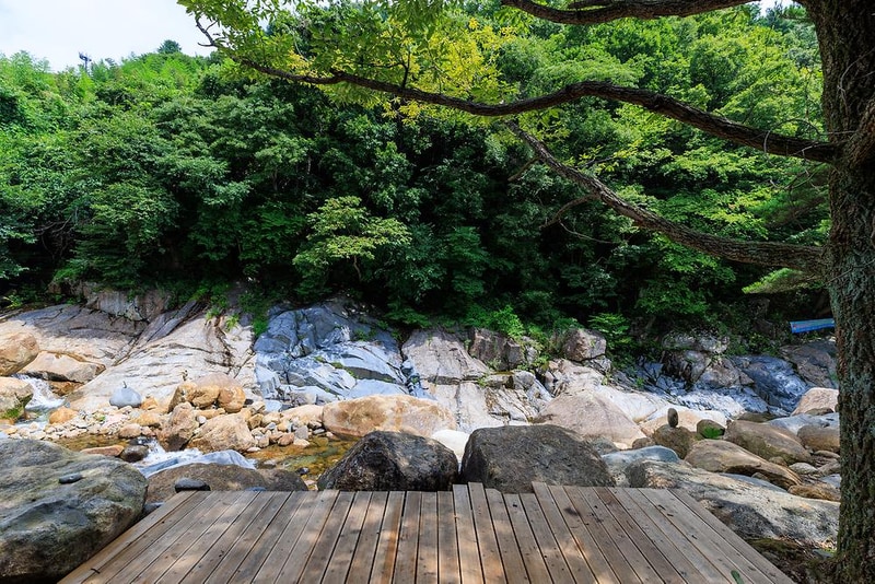 지리산365오토캠핑펜션 시설 사진 9