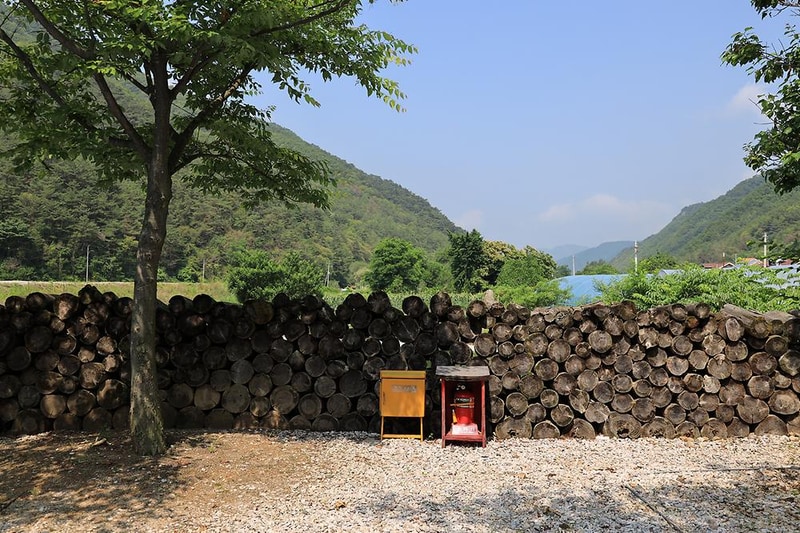 외룡송어회 캠핑장 시설 사진 6