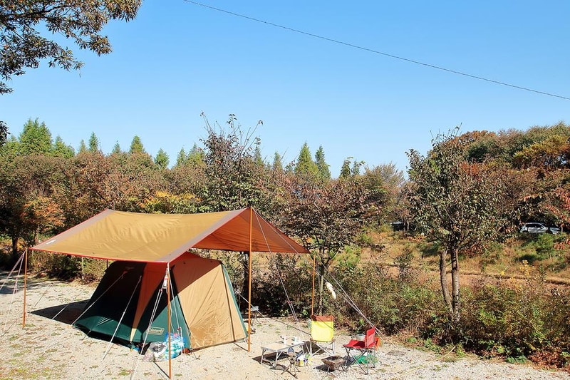 호수산장관광농원 시설 사진 5