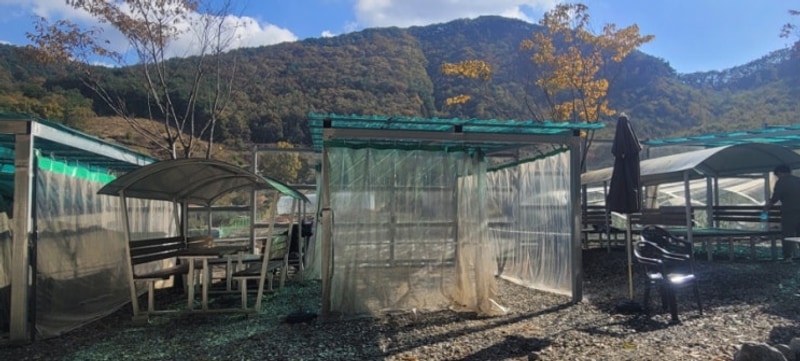 청주 오로라캠핑장