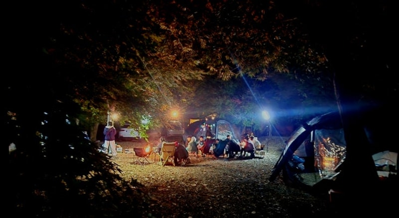 [힐링캠프정캠] 담양 가족소풍캠핑장