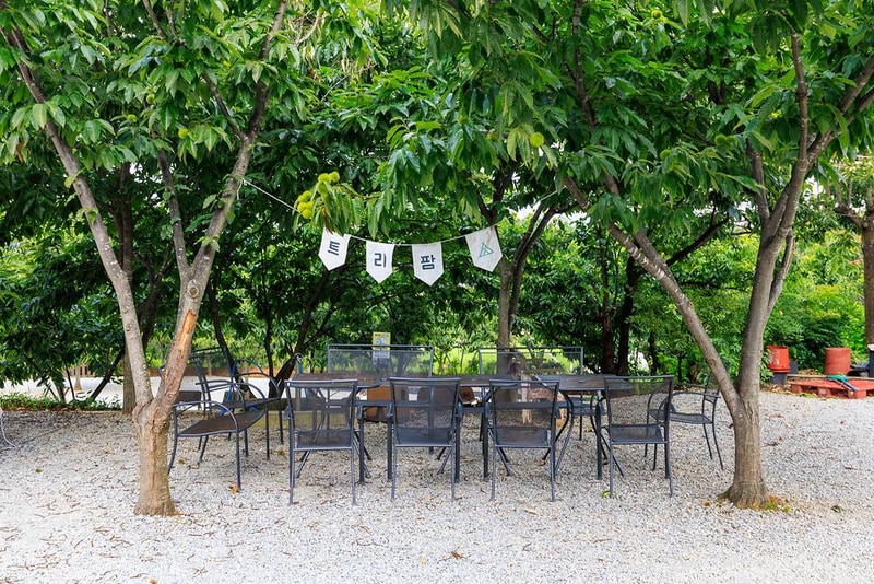 트리팜 관광농원 시설 사진 5