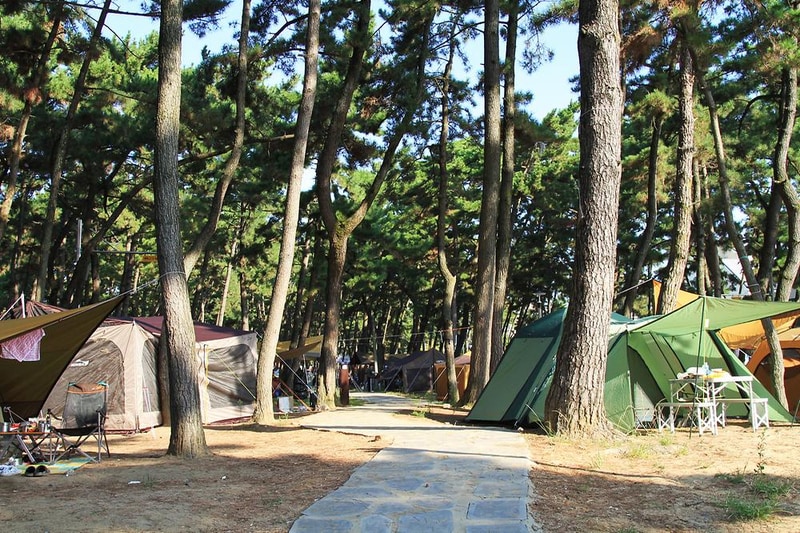 대천해수욕장 야영장 시설 사진 19