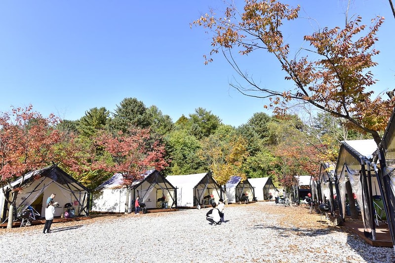 메이플트리글램핑 시설 사진 18