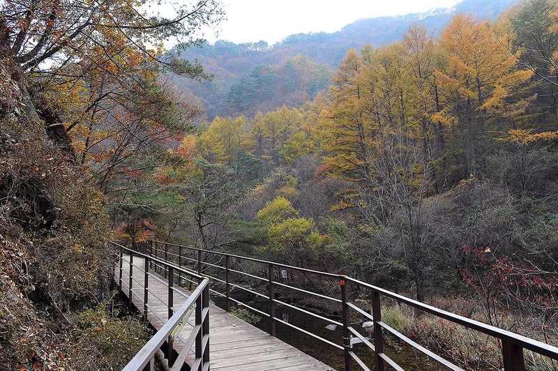 소백산국립공원 남천야영장 시설 사진 2