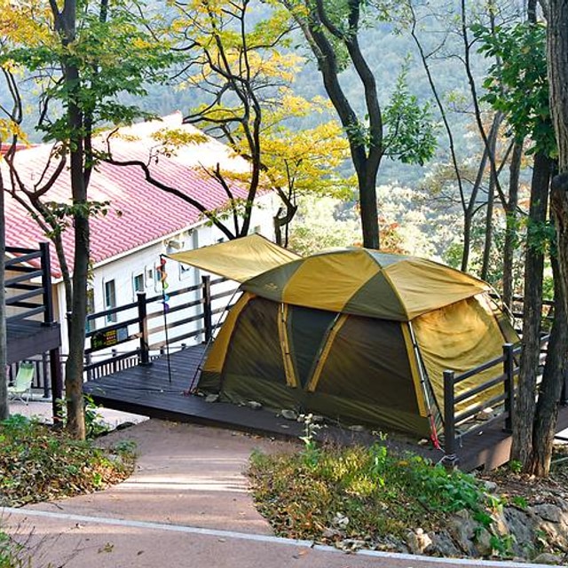 신어산자연숲캠핑장