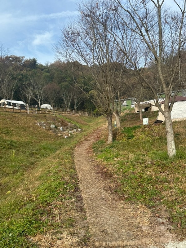 담양 금성산성 오토캠핑장 2박3일