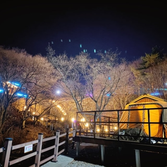 대봉캠핑랜드 대표 사진