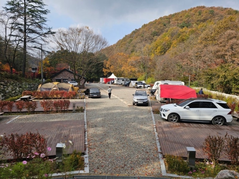 임실 성수산 왕의숲 국민여가캠핑장 시설 리뷰