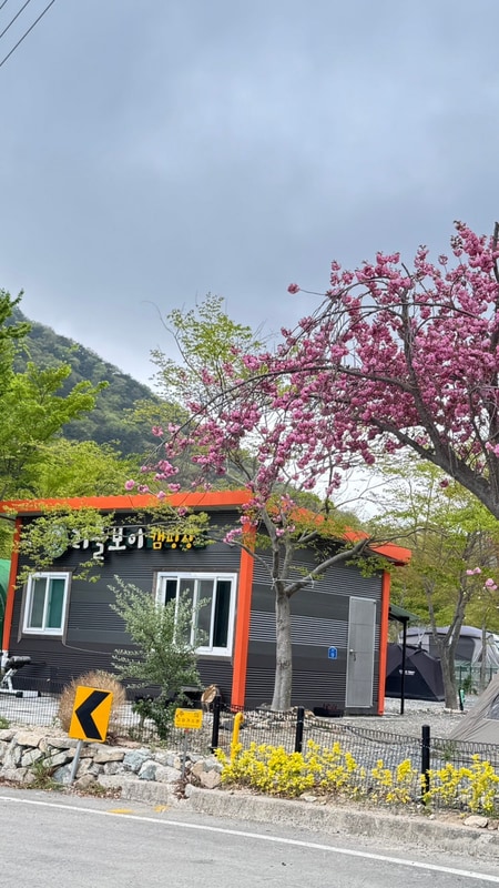 [경남 고성 캠핑장]겹벚꽃 개별화장실이 잇는 리틀보이...