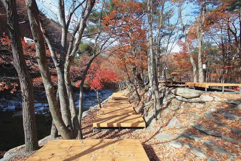 참나무숲 오토캠핑장 시설 사진 1