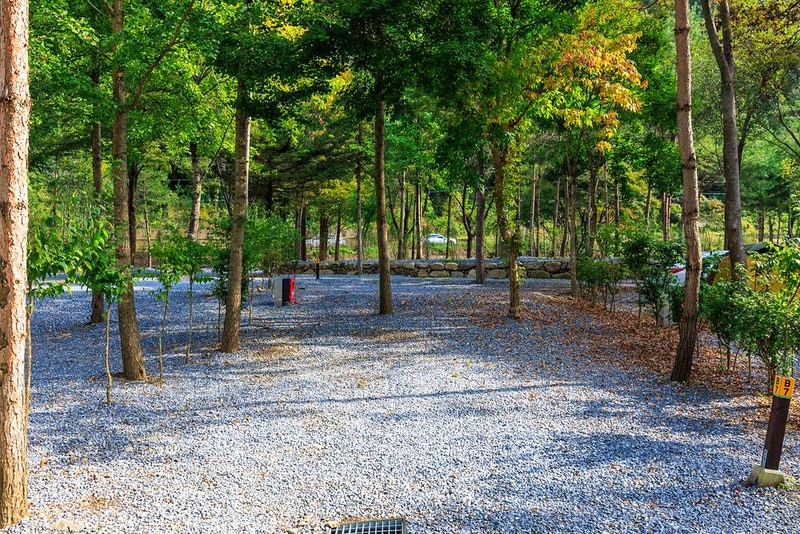 포레스트힐링캠프 시설 사진 9