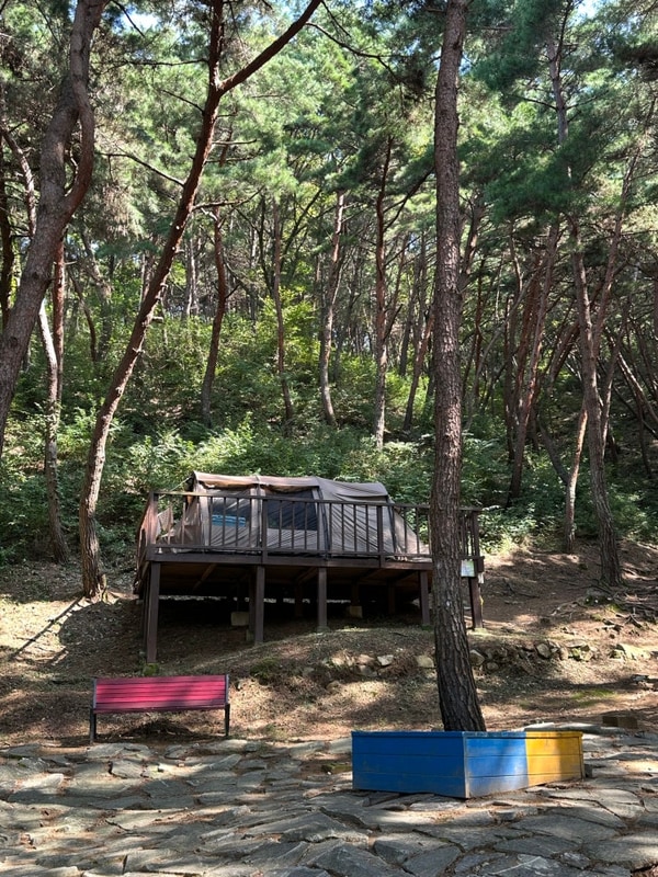 대구 근교 캠핑장 칠곡 송정자연휴양림 야영데크 2박3일 캠핑...