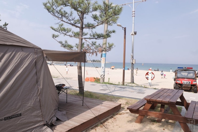 고성 오호캠핑장  B31에서 바다 캠핑!