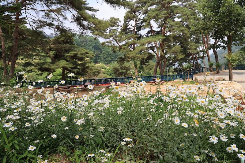 팜스프링 야영장 시설 사진 16