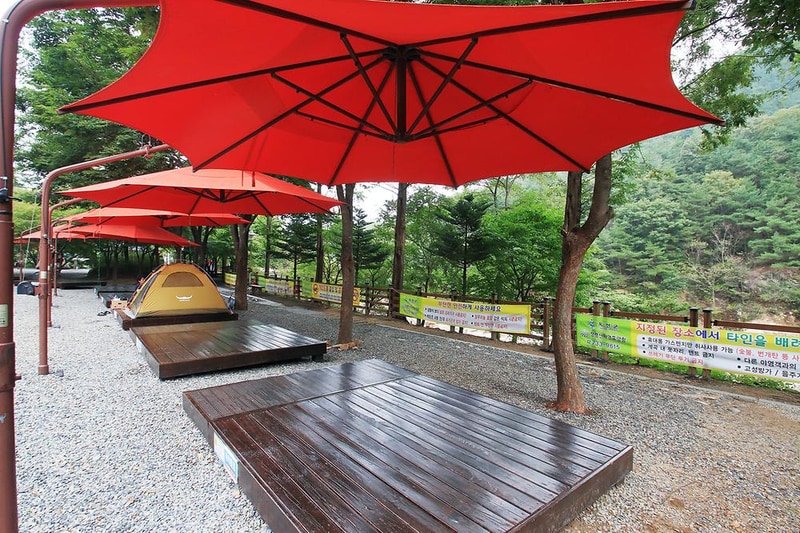 장령산자연휴양림 야영장 시설 사진 6