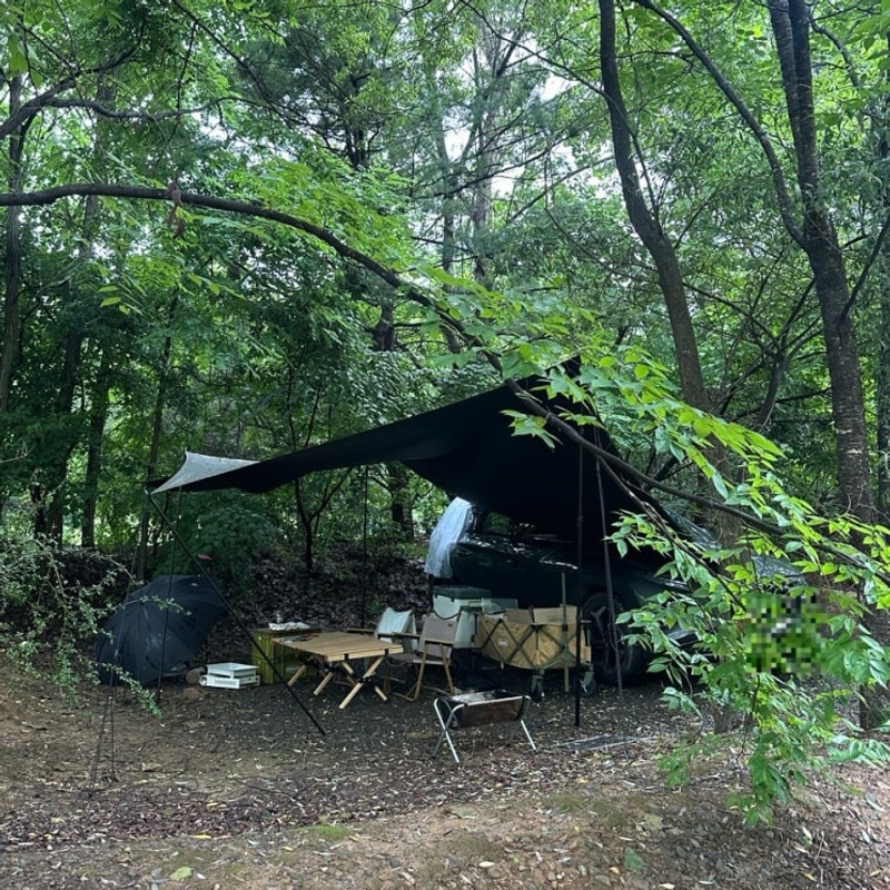 ️6월 캠핑 일기, 연천평화강변수목캠핑장 feat. 우중캠핑