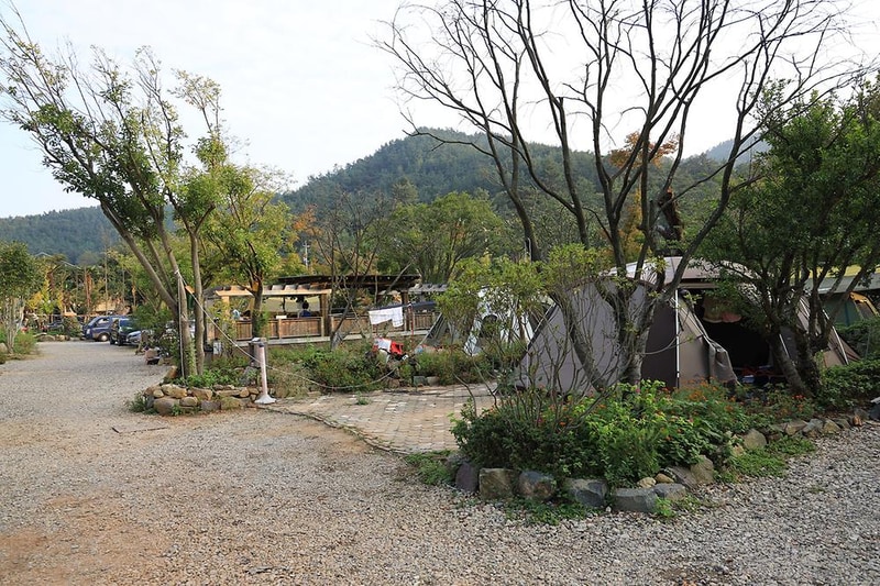 버드하우스 캠핑장 시설 사진 38