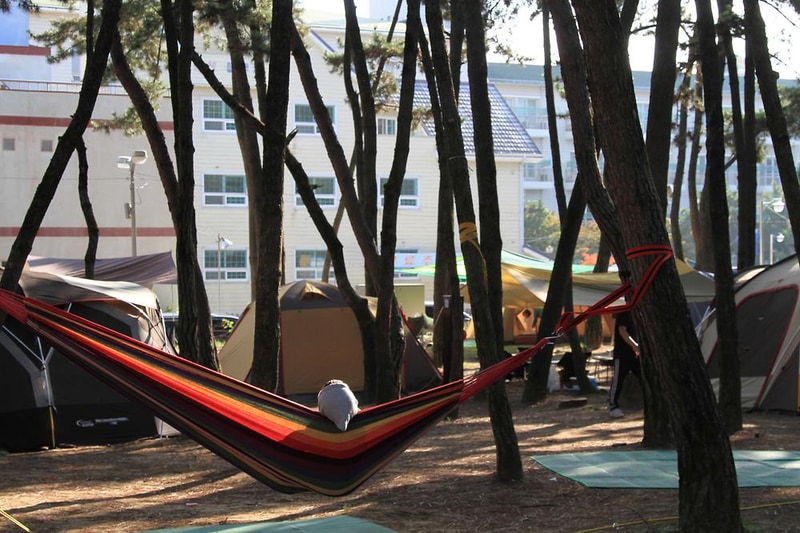 대천해수욕장 야영장 시설 사진 15