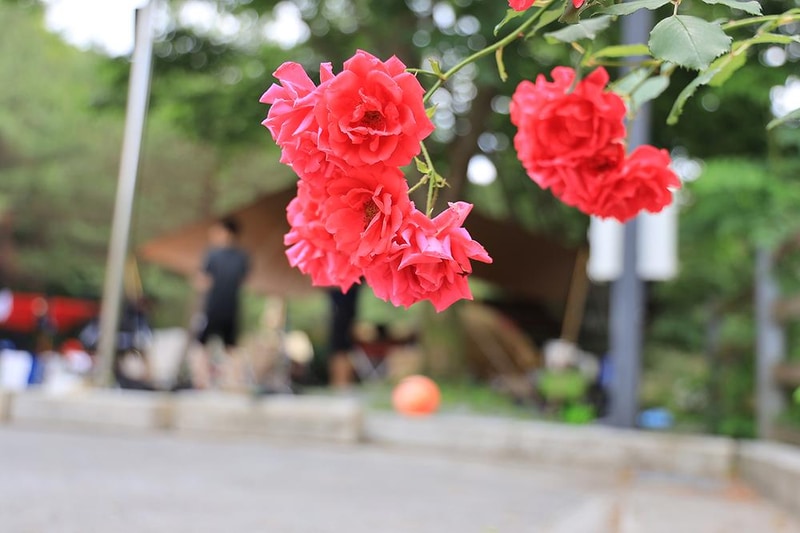 파라다이스캠프 시설 사진 22