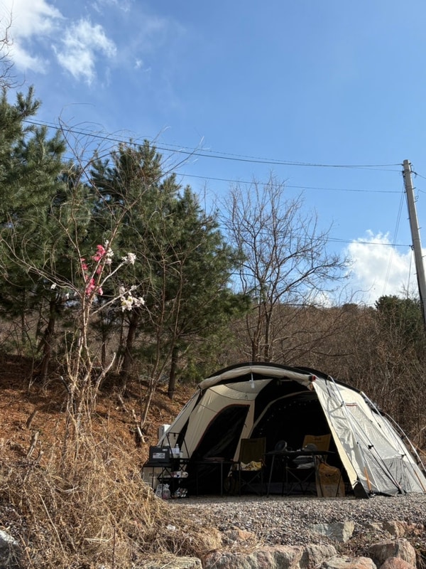 춘천 별빛 캠핑장 S3 사이트 후기/  서울 근교 춘천 캠핑장 추천...