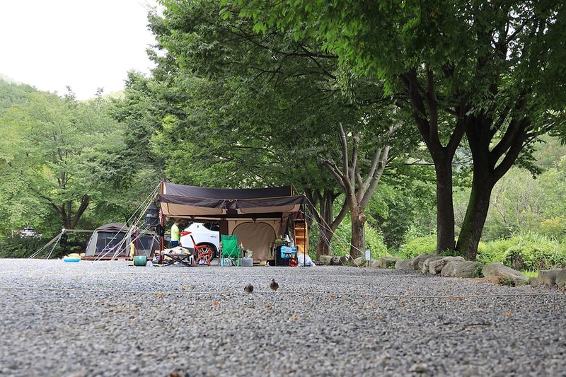 뉴힐링캠프 시설 사진 1