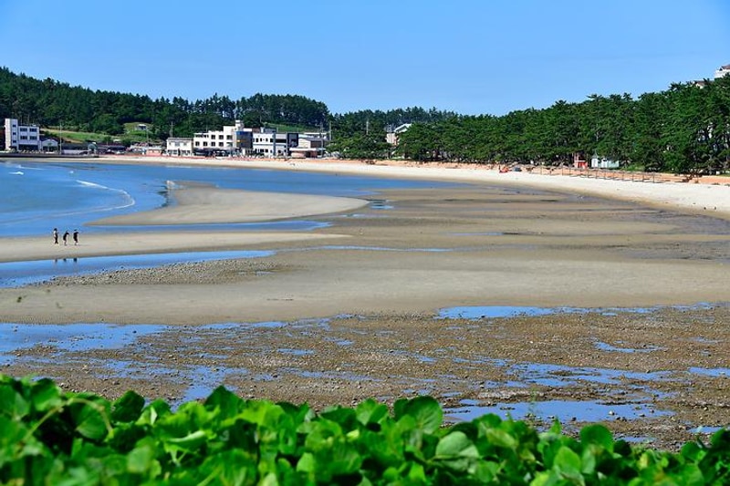땅끝오토캠핑장 대표 사진