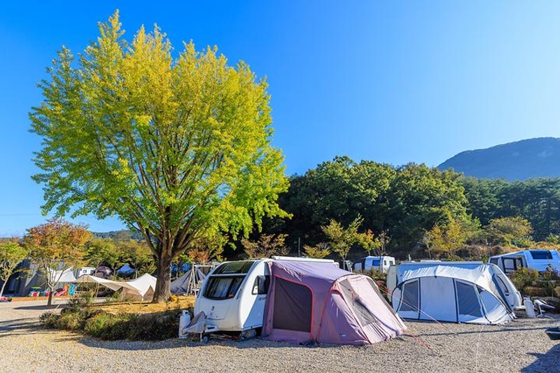 도명산캠핑장 대표 사진