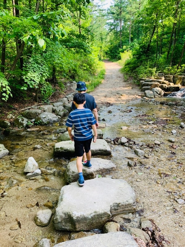 숲나들e 자연휴양림 추천 국립화천숲속야영장