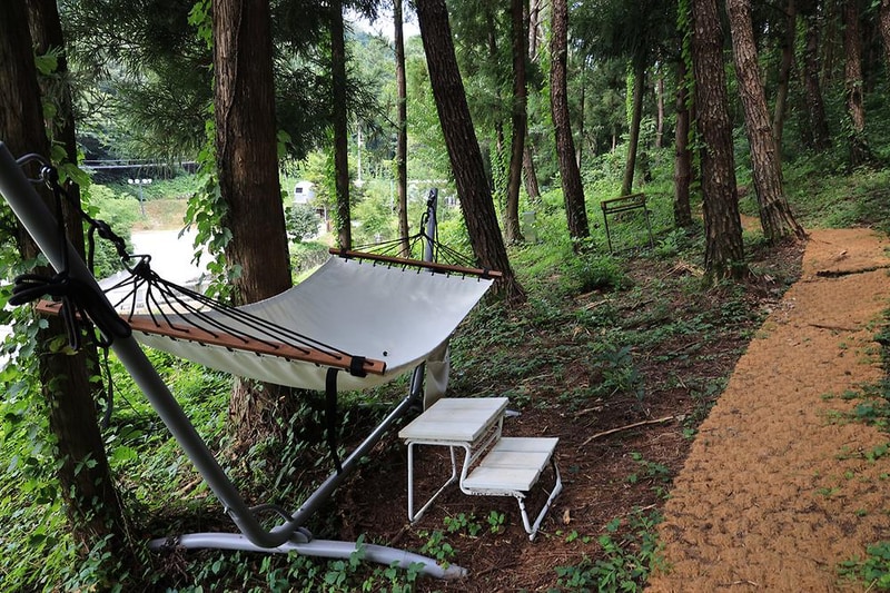 선인장 시설 사진 13