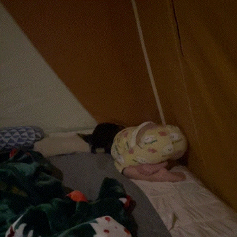 세종 전월산 국민여가 캠핑장 2박3일 둘째 날 그리고 복귀...