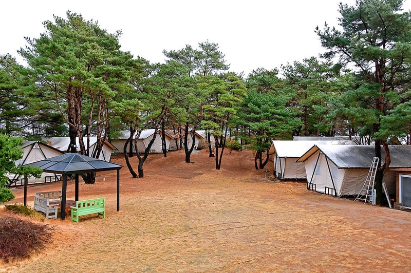 느랭이골 자연휴양림 일반야영장 시설 사진 4