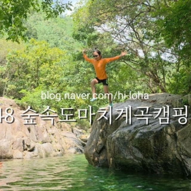 숲속도마치계곡캠핑장 대표 사진